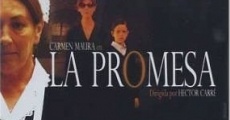 Película La promesa