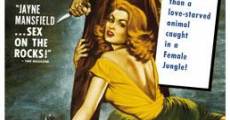 Female Jungle (1955) stream