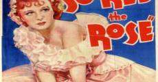 So Red the Rose (1935) stream
