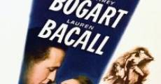 Dark Passage (1947) stream