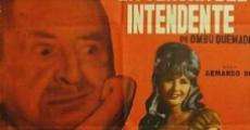 La señora del Intendente streaming