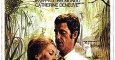 La sirene du Mississippi (1969) stream