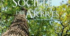 Película La société des arbres