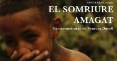 El somriure amagat (2011)