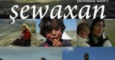 Ein Jahr mit kurdischen Nomaden