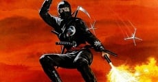 Revenge of the Ninja film complet