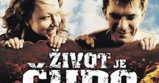 Zivot je cudo (2004)