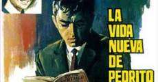 La vida nueva de Pedrito de Andía (1965) stream