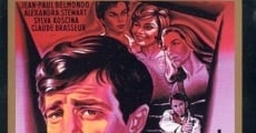 Les distractions (1960) stream