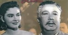 Las medias de seda (1956) stream