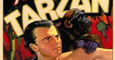 The New Adventures of Tarzan film complet