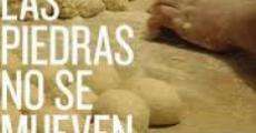 Las piedras no se mueven solas (2009) stream