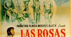 Filme completo Las rosas del milagro