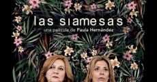 Las siamesas