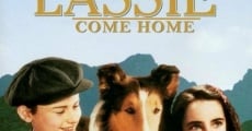 Torna a casa Lassie!