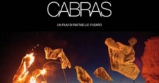 Le favole Iniziano a Cabras (2015) stream
