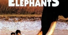 Le maître des éléphants