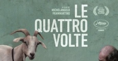 Le quattro volte streaming