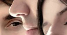 Le reflet streaming