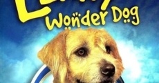 Lenny the Wonder Dog (2005)