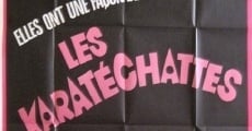 Les pornochattes