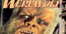 The Curse of the Werewolf (1961) stream