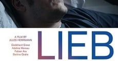 Liebmann (2017) stream