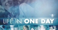 Ver película Life In One Day