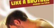 Comme un frère (2005) stream