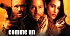 Comme un poisson hors de l'eau (1999) stream