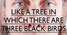 Película Like a Tree in Which There Are Three Black Birds