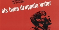 Als twee druppels water film complet