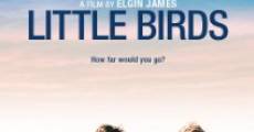 Película Little Birds