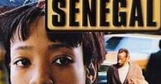 Película Little Senegal