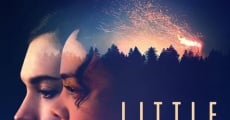 Little Woods film complet