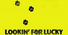 Lookin' for Lucky (2009) stream