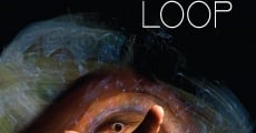 Loop (2007) stream