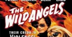 The Wild Angels (1966) stream