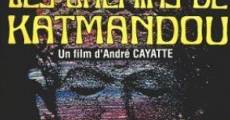 Les chemins de Katmandou (1969)