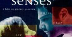 The Five Senses (1999)