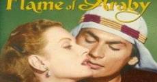 Flame of Araby (1951) stream