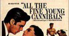 All the Fine Young Cannibals film complet