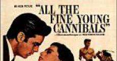 All the Fine Young Cannibals (1960)