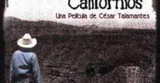 Los otros californios (2011) stream