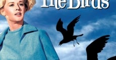 Alfred Hitchcock's The Birds (1963)