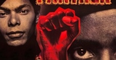 Les black panthers streaming