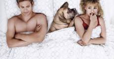 Película Los perros dormidos mienten