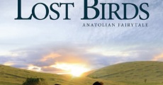 Película Lost Birds