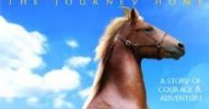 Película Lost Stallions: The Journey Home