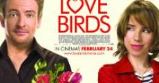 Ver película Love Birds